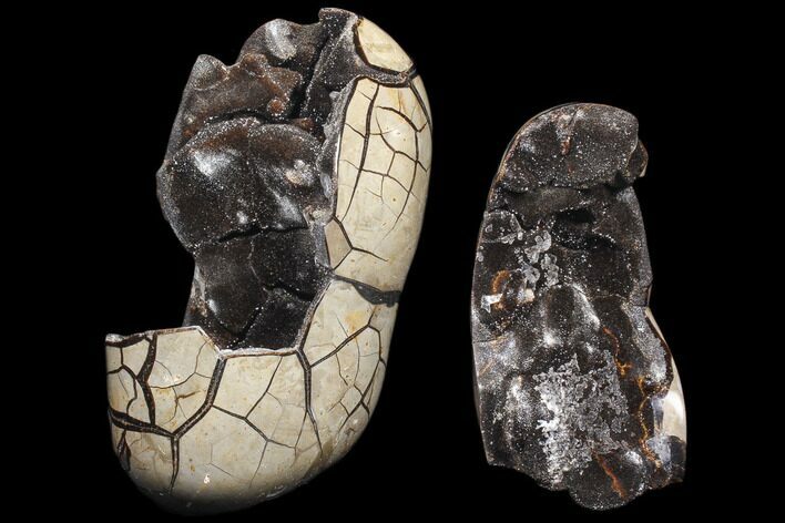 Polished Septarian Geode - Removable Section #79335